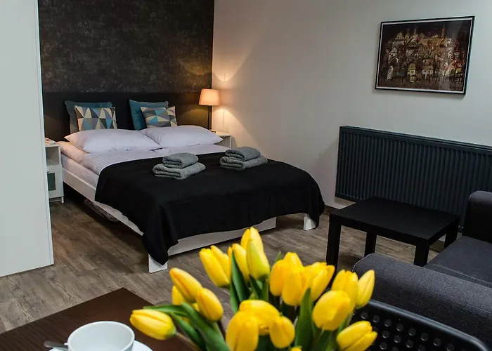 Modern In Old City 克拉科夫